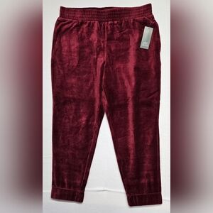 New Wild Fable Velour Burgundy Stretch Pants Pull On Elastic Waist Comfort L